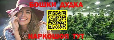 гидра Дубна