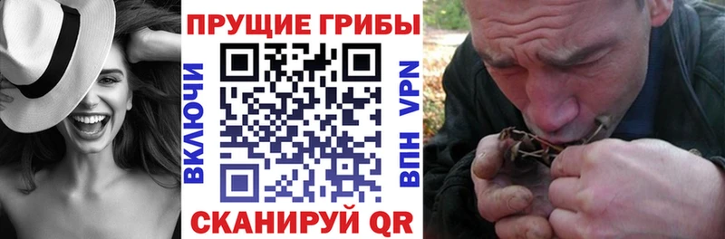 как найти закладки  Йошкар-Ола  Галлюциногенные грибы GOLDEN TEACHER 