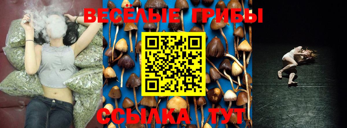 Галлюциногенные грибы GOLDEN TEACHER Йошкар-Ола