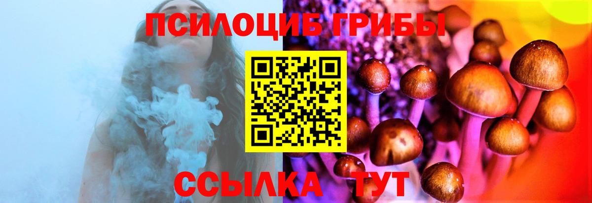 Галлюциногенные грибы прущие грибы Йошкар-Ола